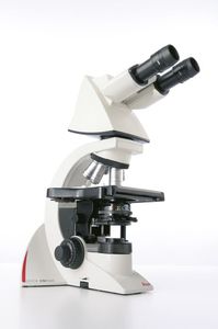 microscope optique