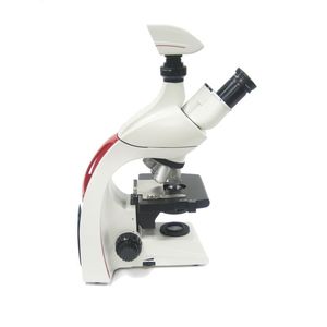 microscope optique