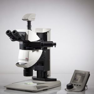 stéréomicroscope numérique