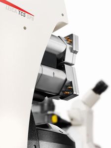 microscope de laboratoire / optique / confocal à balayage laser