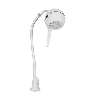 lampe d'examen à LED