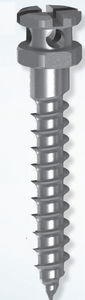 mini-implant dentaire cylindrique