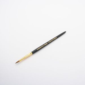 pinceau de laboratoire dentaire
