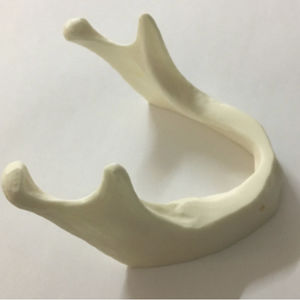 modèle anatomique de mandibule