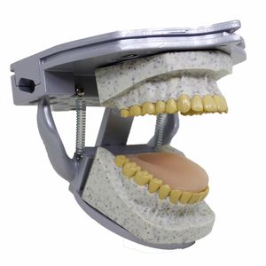 fantôme de test pour radiographie dentaire / tête