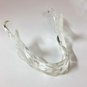 modèle anatomique de mandibule