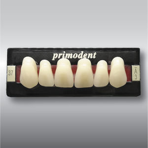 prothèse dentaire en acrylique / de dents antérieures / de dents postérieures