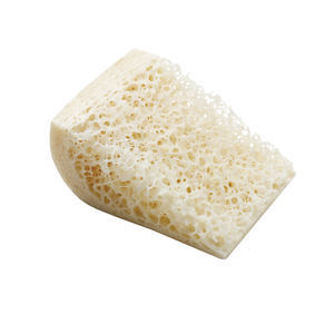 substitut osseux allogreffe