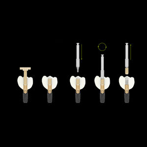 instrument de retrait pour vis de scellement