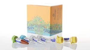 kit de solution tampon
