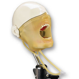 mannequin de formation pour soins dentaires