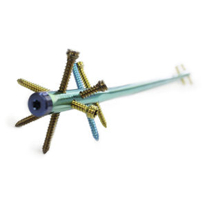 clou intramédullaire de tibia