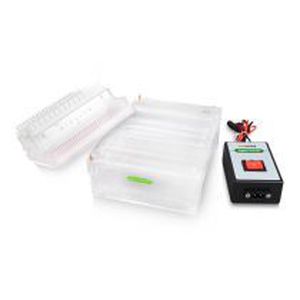 système d'électrophorèse sur gel d'agarose