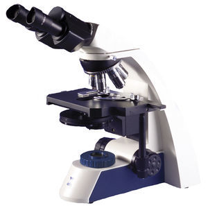 microscope binoculaire