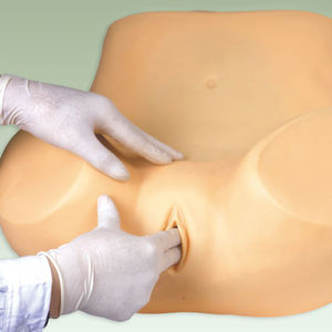 simulateur pour soins gynécologiques