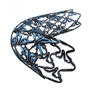 stent coronarien