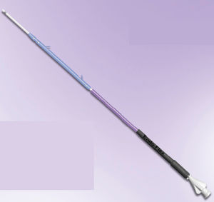 stent biliaire