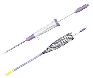 stent biliaire