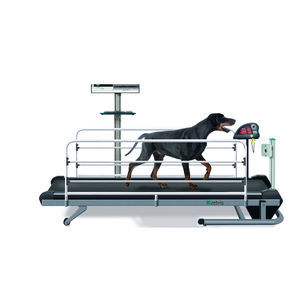 tapis roulant pour chiens