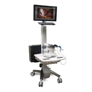 simulateur pour chirurgie mini-invasive