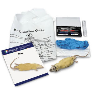 simulateur de dissection