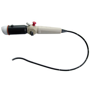 bronchoscope vétérinaire vidéo