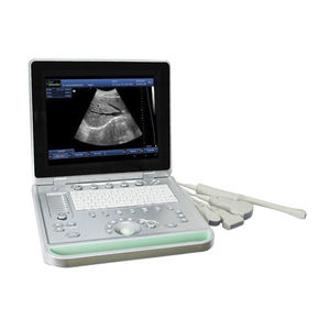 échographe portable