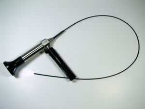 bronchoscope vétérinaire optique