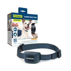 collerette vétérinaire pour chiens