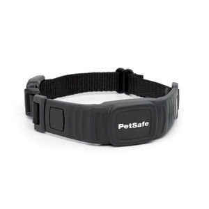 collerette vétérinaire pour chiens