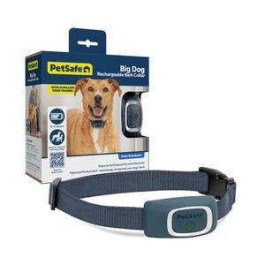collerette vétérinaire pour chiens