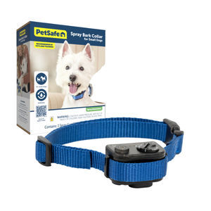 collerette vétérinaire pour chiens