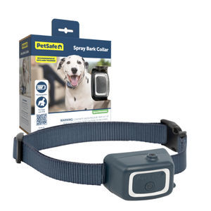 collerette vétérinaire pour chiens