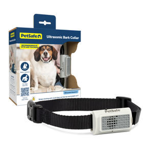 collerette vétérinaire pour chiens