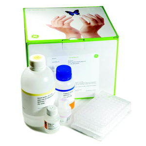 kit de réactifs pour purification d'ADN