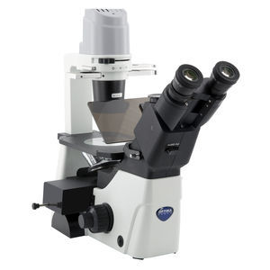 microscope optique