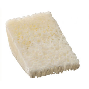 substitut osseux allogreffe