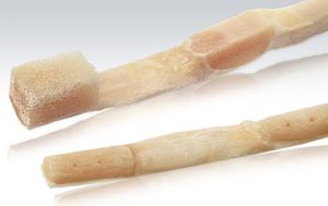 prothèse ligamentaire tendon calcanéen