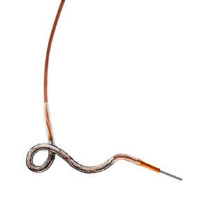 stent coronarien