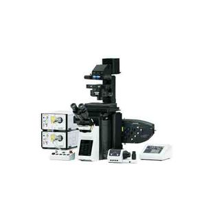 microscope numérique