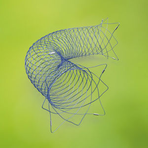 stent intracrânien