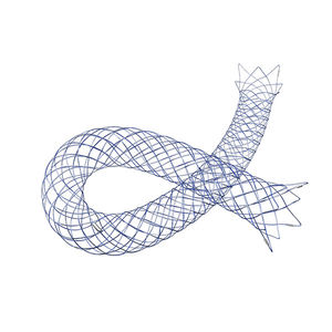 stent intracrânien