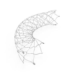 stent intracrânien
