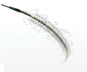 stent coronarien