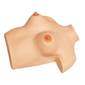 simulateur de palpation mammaire / torse