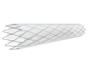 stent périphérique