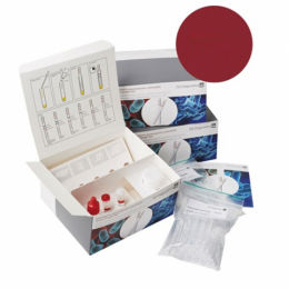 test rapide pour maladies infectieuses