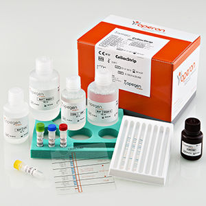 kit de test de maladie coeliaque