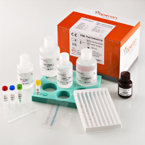 kit de test HPV