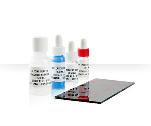 kit de test de l'ASO / de sérologie / sérum / d'agglutination au latex